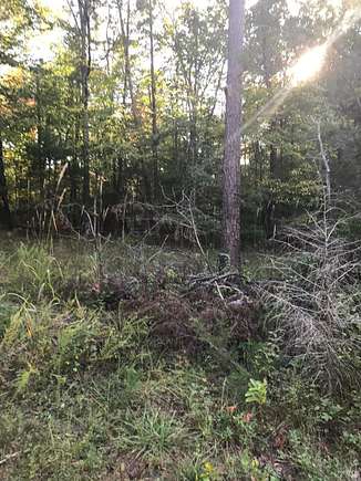 1.8 Acres of Land for Sale in Monroe, Virginia