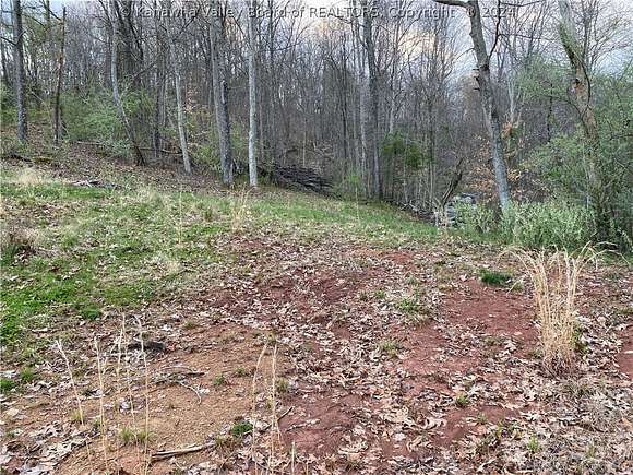 32.5 Acres of Land for Sale in Sandyville, West Virginia