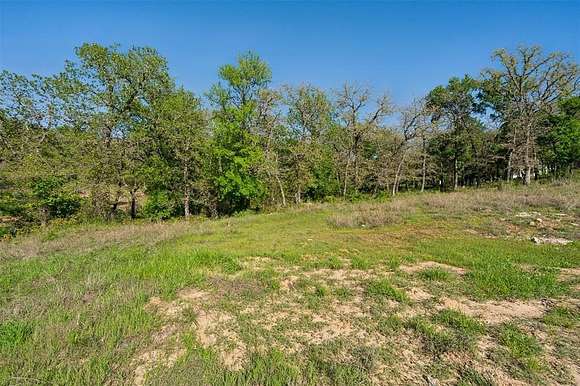 0.5 Acres of Residential Land for Sale in Lipan, Texas