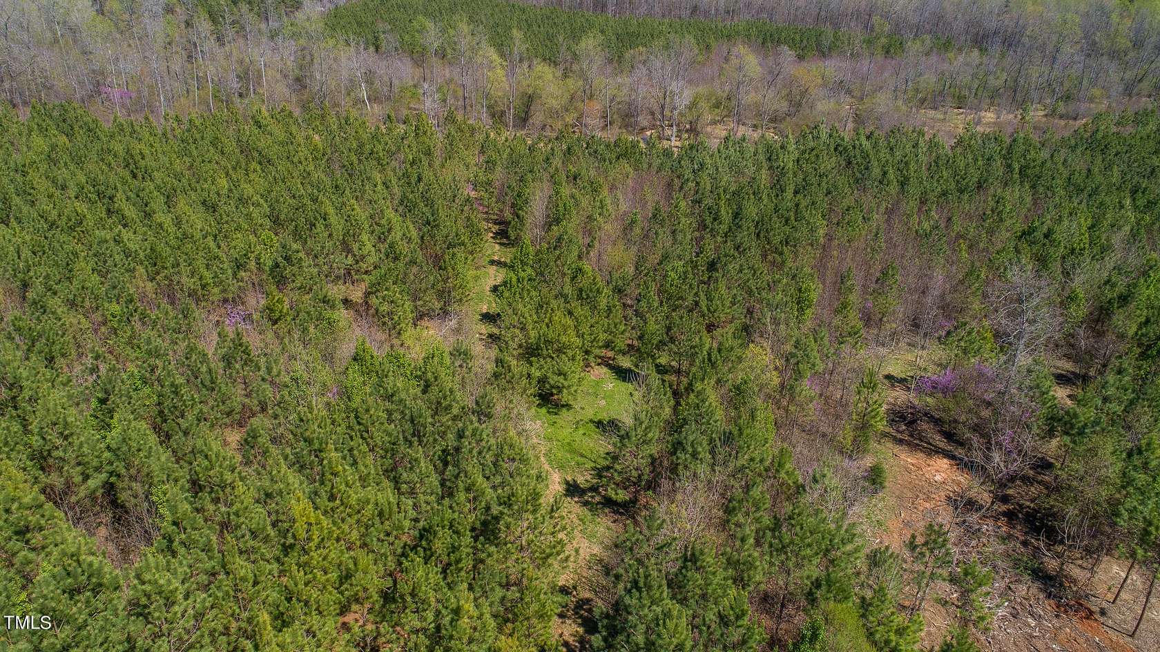 61.4 Acres of Recreational Land for Sale in Roxboro, North Carolina