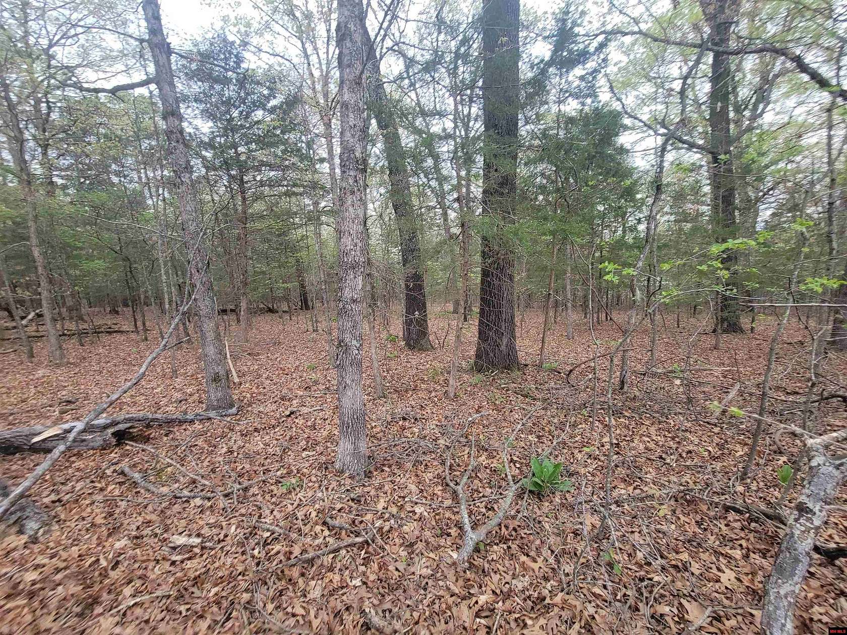 5 Acres of Land for Sale in Salesville, Arkansas