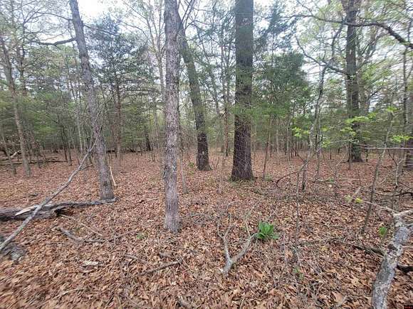 5 Acres of Land for Sale in Salesville, Arkansas