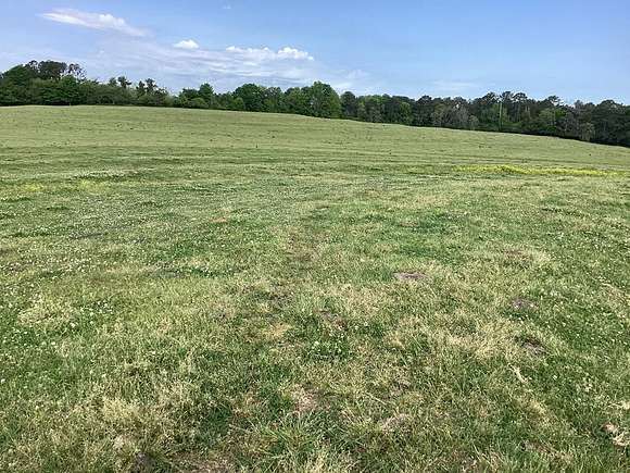 80 Acres of Land for Sale in Goshen, Alabama