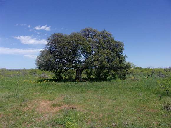 10 Acres of Agricultural Land for Sale in Castell, Texas