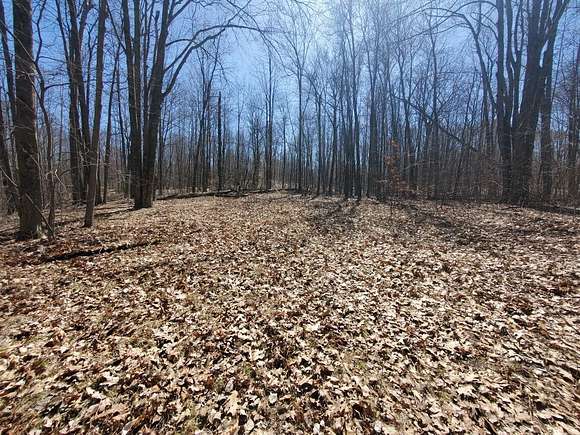 0.55 Acres of Land for Sale in Mecosta, Michigan