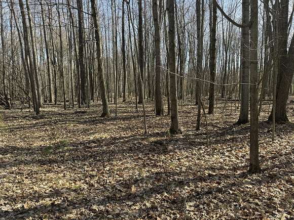 0.64 Acres of Residential Land for Sale in Canadian Lakes, Michigan