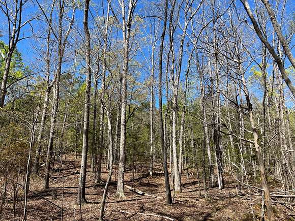 32 Acres of Land for Sale in Ware Shoals, South Carolina
