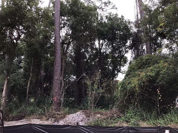 0.25 Acres of Residential Land for Sale in Palm Harbor, Florida