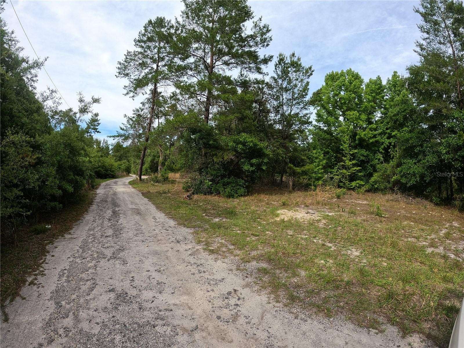 0.47 Acres of Residential Land for Sale in Paisley, Florida