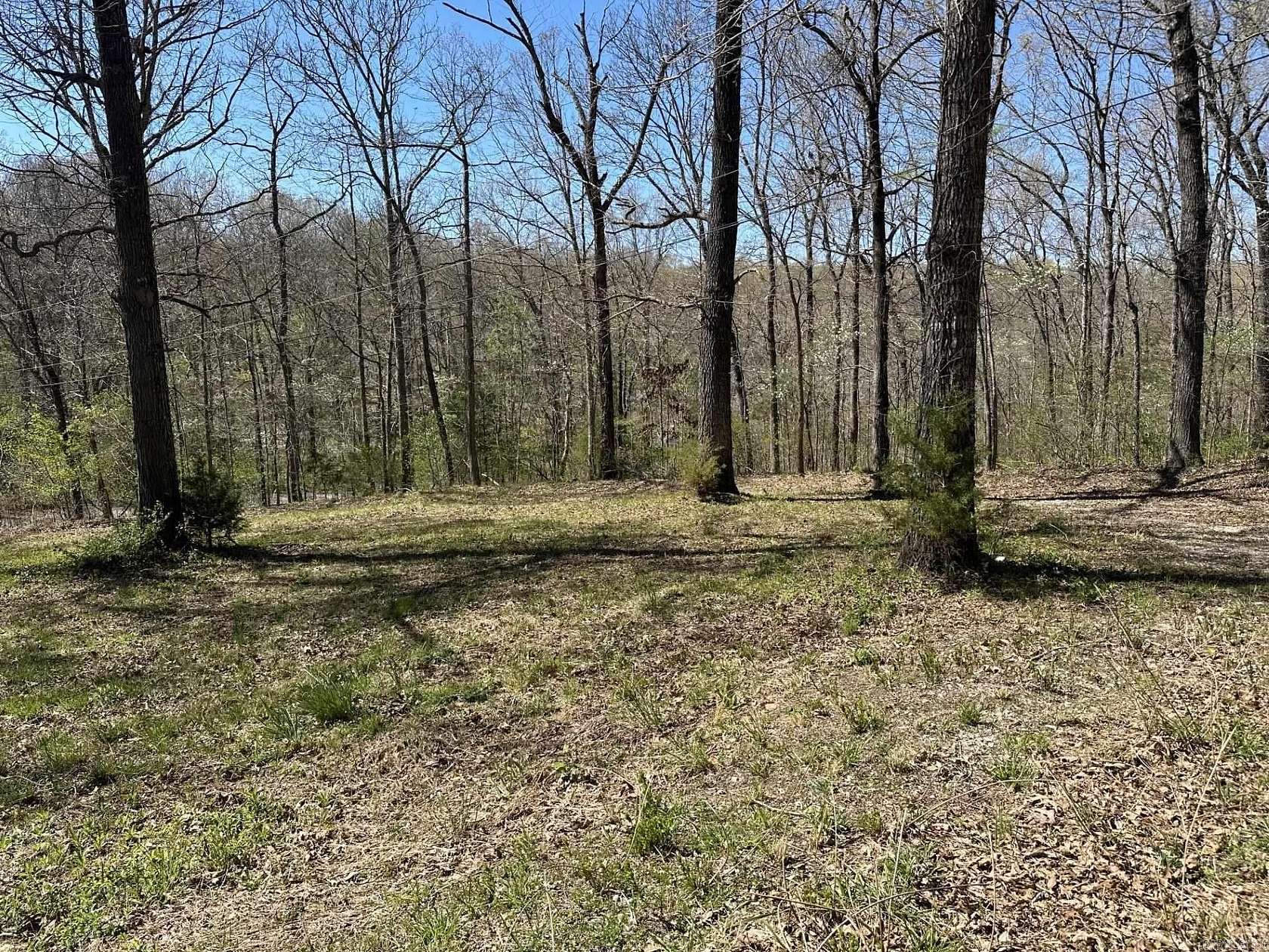 0.33 Acres of Residential Land for Sale in Henderson, Arkansas