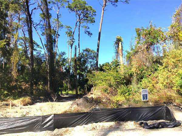 0.44 Acres of Residential Land for Sale in Palm Harbor, Florida