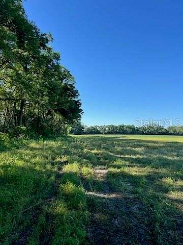 19.4 Acres of Land for Sale in Bell, Florida