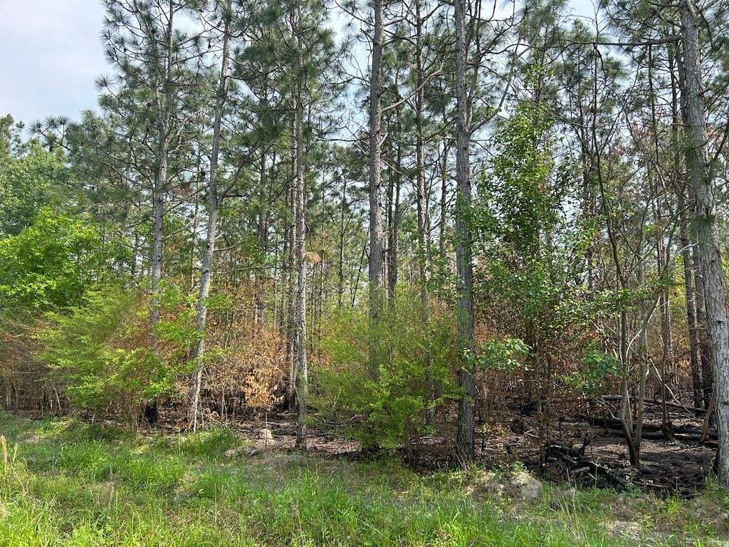 3 Acres of Residential Land for Sale in Donalsonville, Georgia