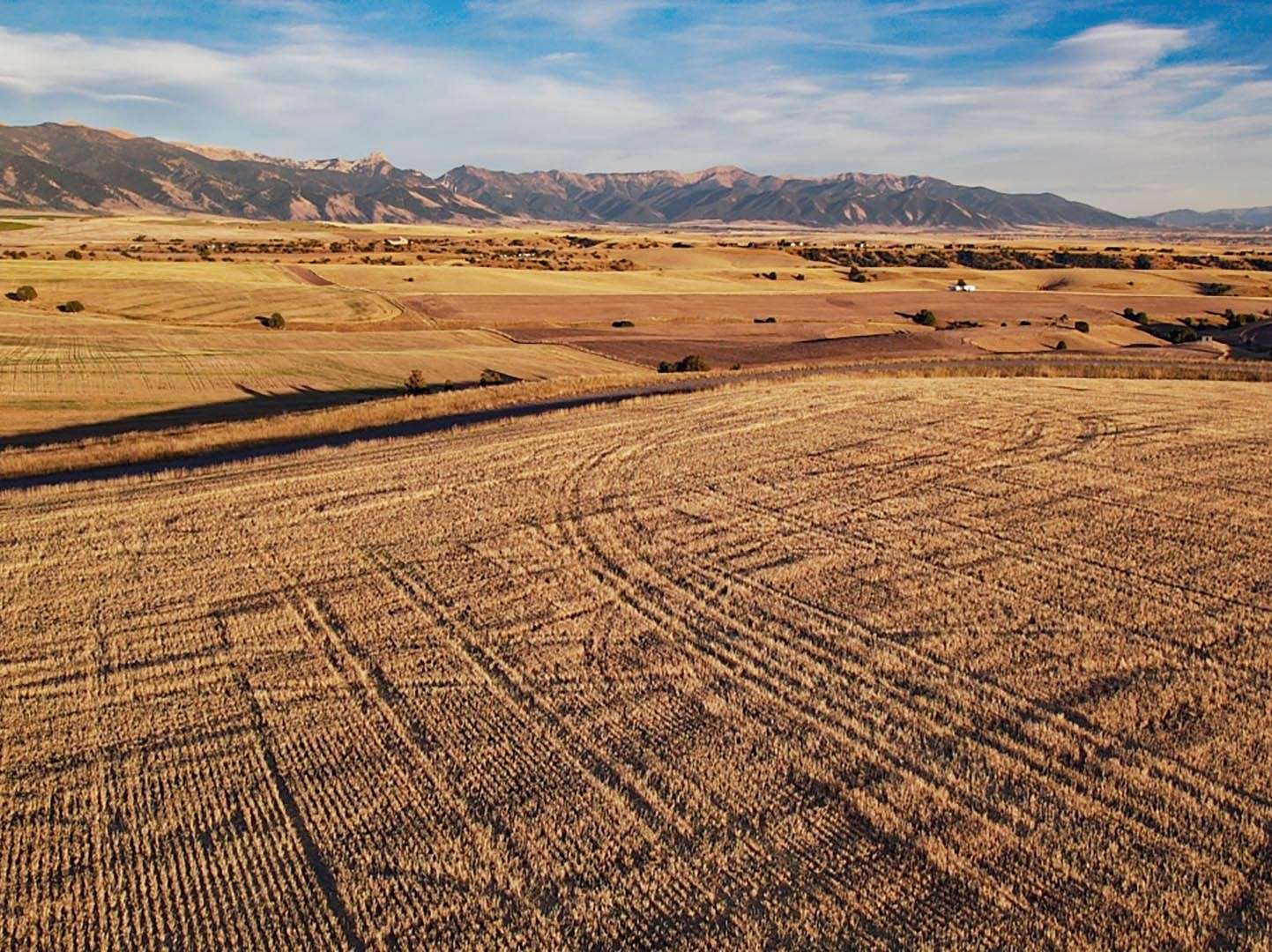 20 Acres of Recreational Land & Farm for Sale in Belgrade, Montana