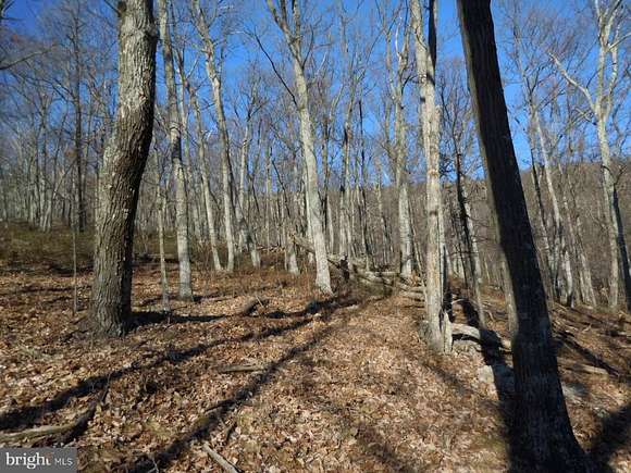 59.9 Acres of Recreational Land for Sale in Winchester, Virginia