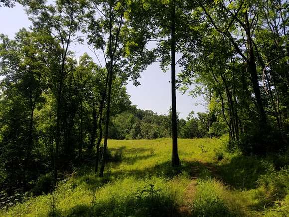 45 Acres of Recreational Land for Sale in Milton, West Virginia