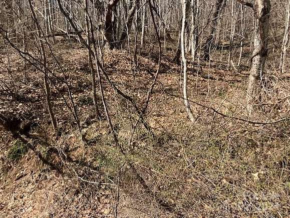 1 Acre of Residential Land for Sale in Waynesville, North Carolina