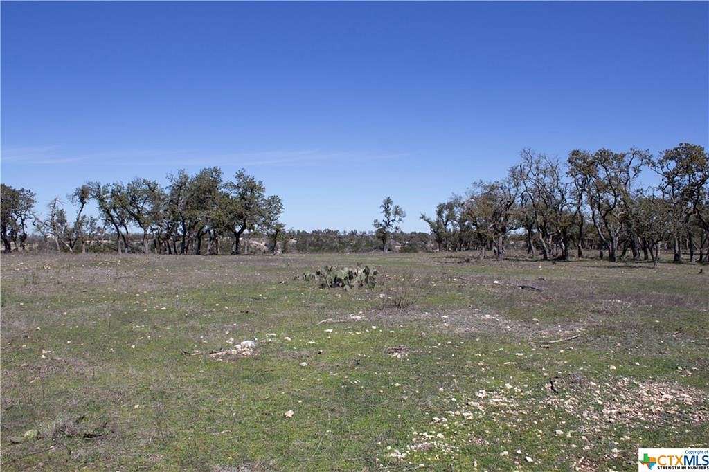 75 Acres of Land for Sale in Blanco, Texas