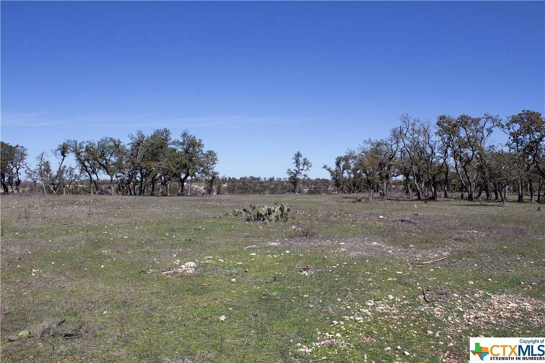 75.03 Acres of Land for Sale in Blanco, Texas