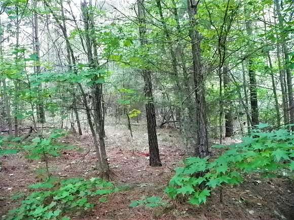 1 Acre of Residential Land for Sale in Hodges, South Carolina