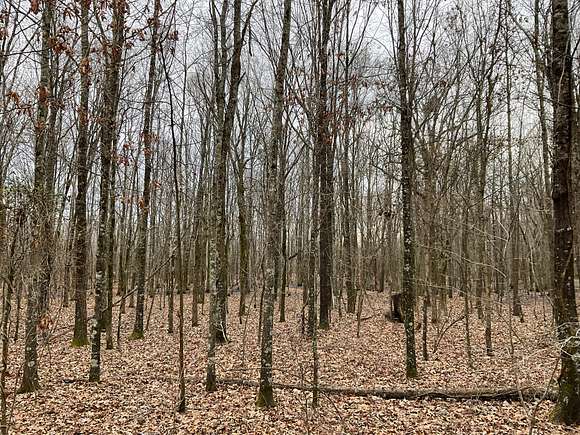 40 Acres of Recreational Land for Sale in Eudora, Arkansas