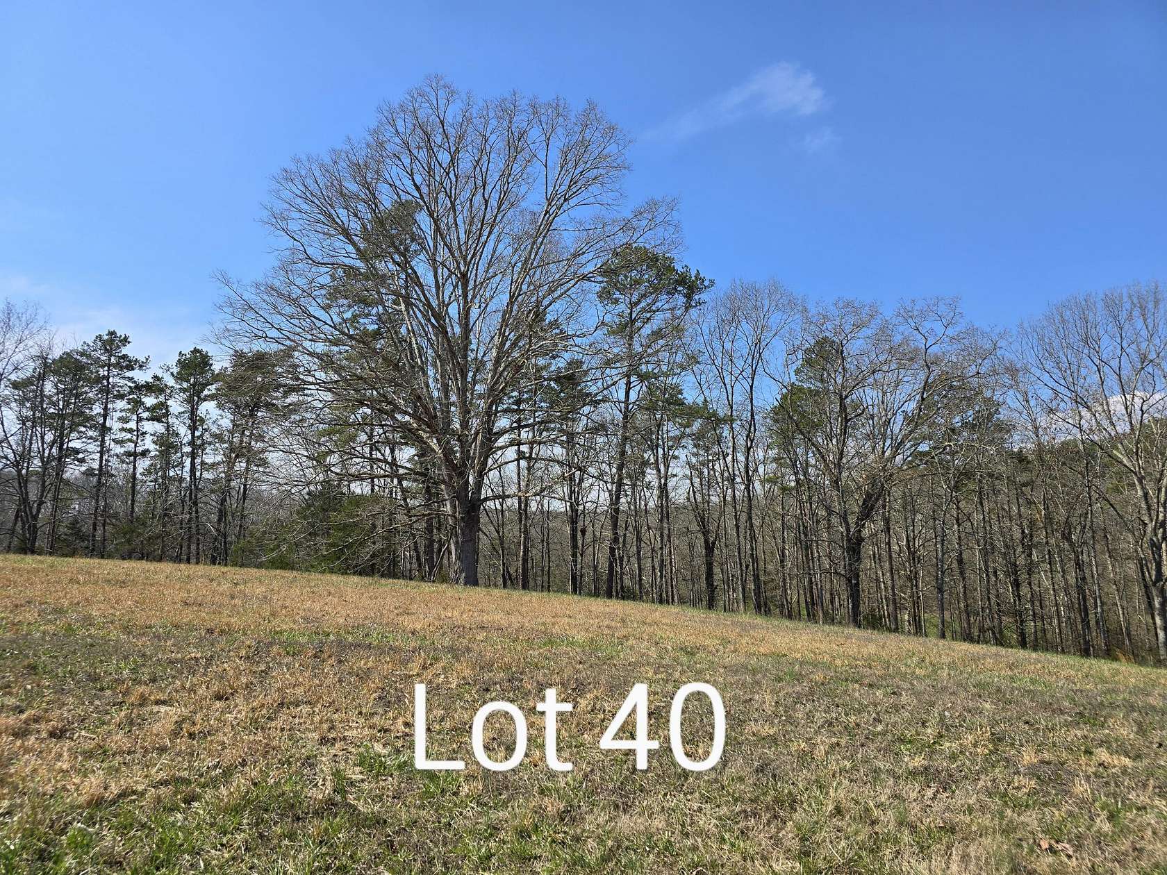 1 Acre of Residential Land for Sale in Birchwood, Tennessee