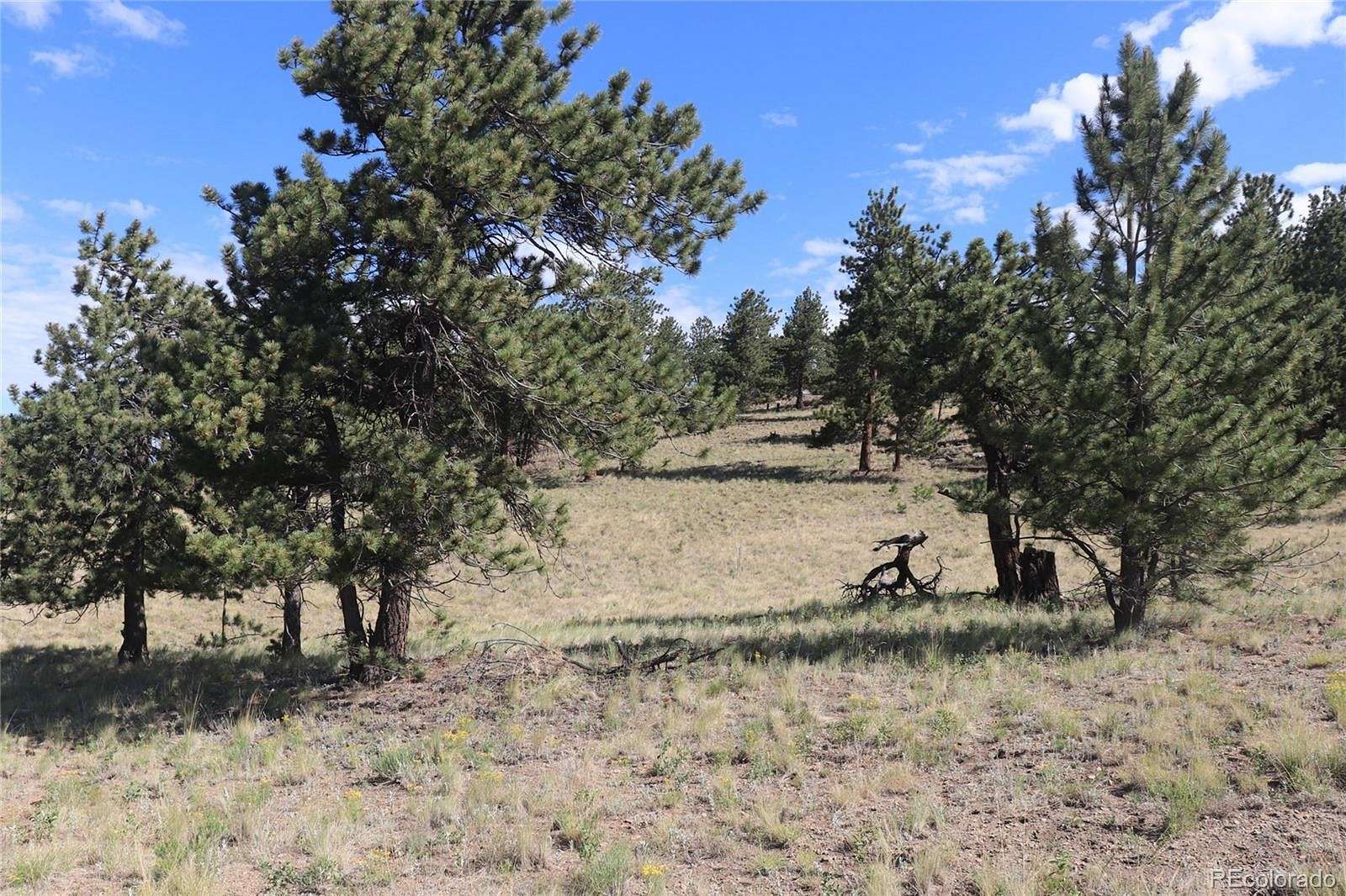 3.1 Acres of Residential Land for Sale in Hartsel, Colorado