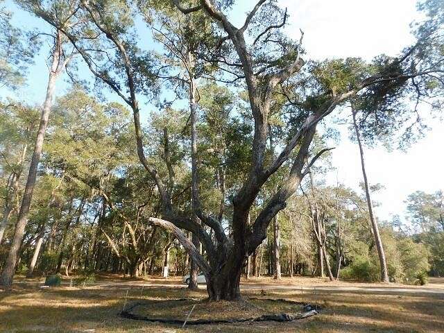 0.78 Acres of Residential Land for Sale in Edisto Island, South Carolina