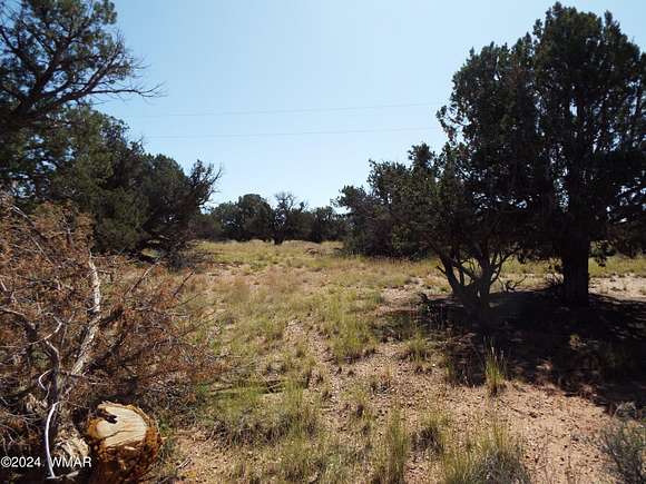 4.53 Acres of Residential Land for Sale in Snowflake, Arizona