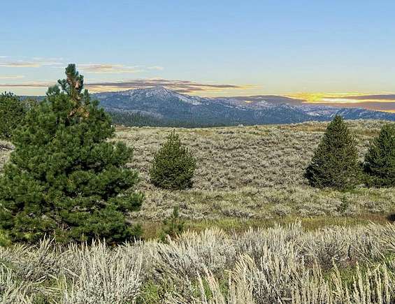 3 Acres of Residential Land for Sale in Cascade, Idaho