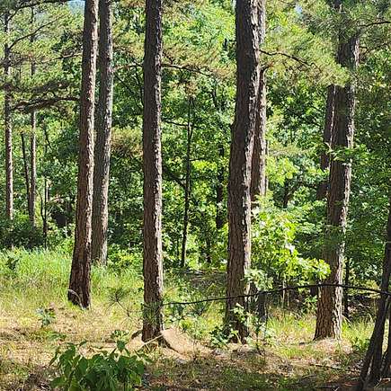 0.22 Acres of Residential Land for Sale in Maumelle, Arkansas