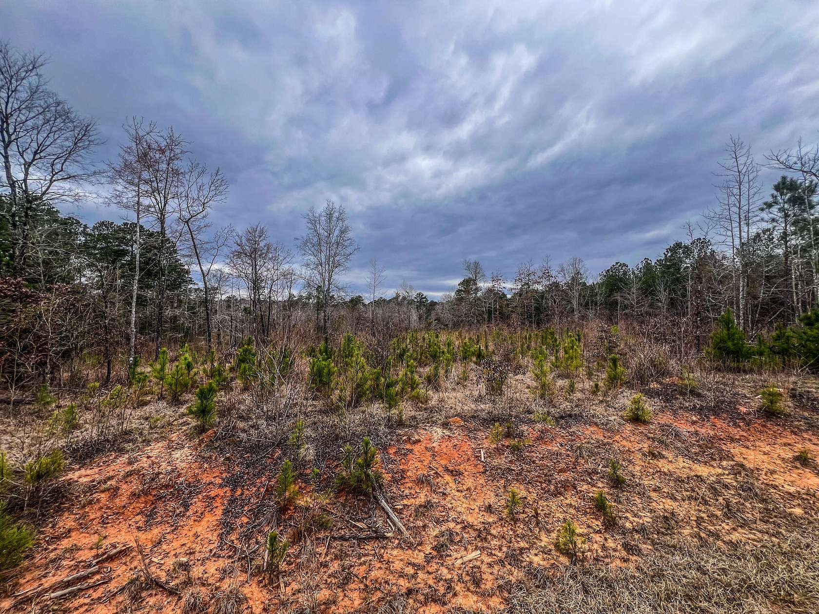 5.11 Acres of Land for Sale in Lincolnton, Georgia