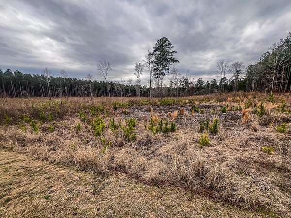 4.33 Acres of Land for Sale in Lincolnton, Georgia
