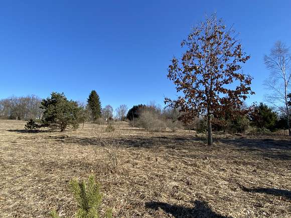 10 Acres of Recreational Land for Sale in Edmore, Michigan