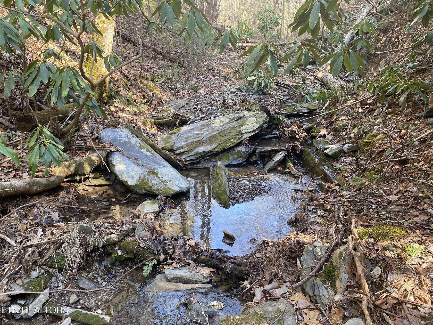 57 Acres of Recreational & Residential Land for Sale in Tellico Plains, Tennessee