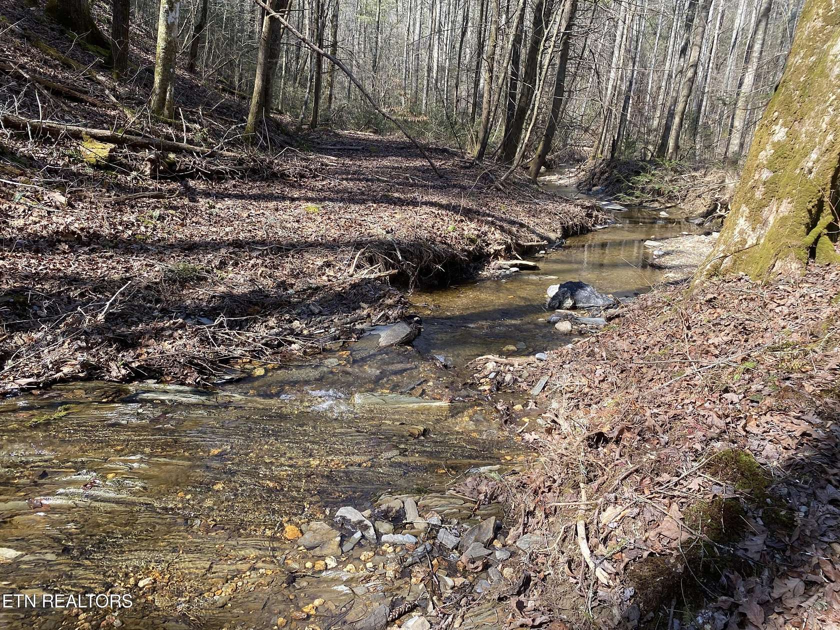 57 Acres of Land for Sale in Tellico Plains, Tennessee