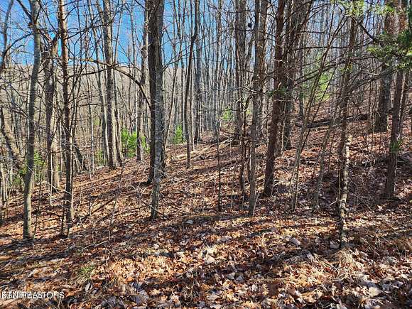 0.71 Acres of Residential Land for Sale in Fairfield Glade, Tennessee