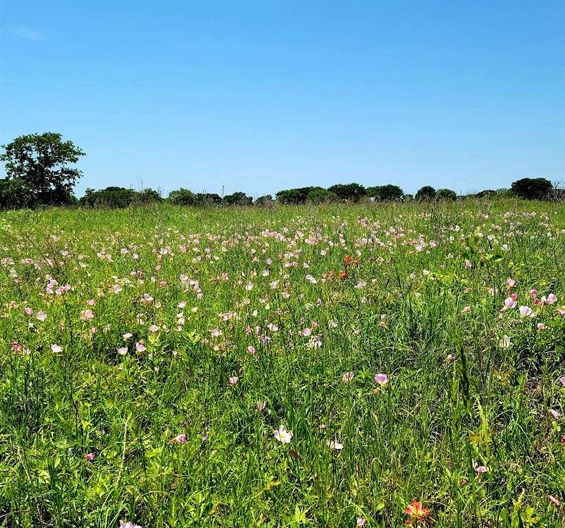 86.3 Acres of Agricultural Land for Sale in Covington, Texas