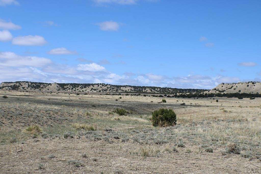 35 Acres of Recreational Land for Sale in Rye, Colorado
