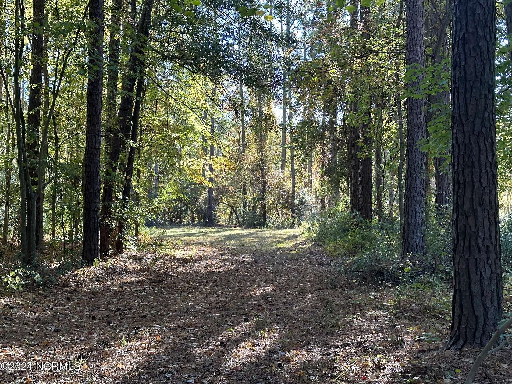 4.1 Acres of Residential Land for Sale in Bath, North Carolina