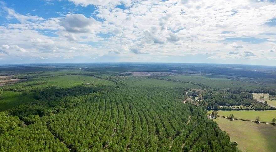 21.5 Acres of Recreational Land for Sale in Livingston, Texas