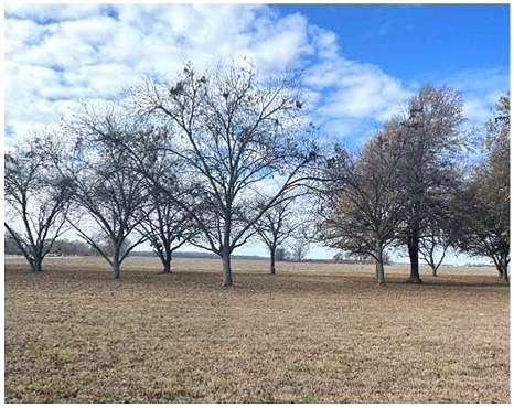 2.5 Acres of Recreational Land for Sale in Leland, Mississippi