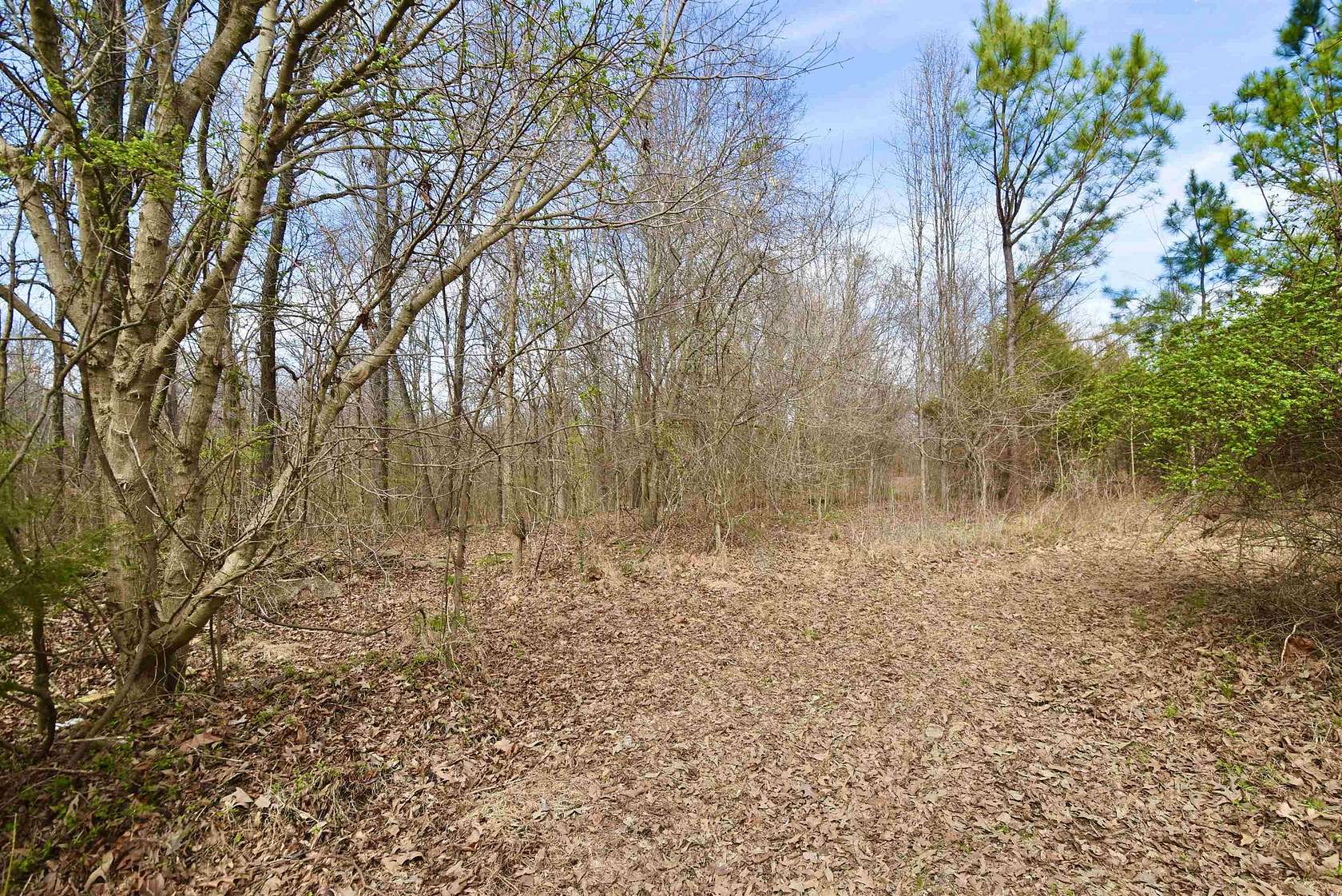22 Acres of Agricultural Land for Sale in Jackson, Tennessee