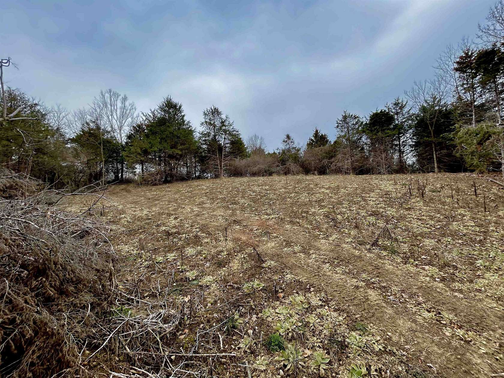 3.1 Acres of Residential Land for Sale in Luray, Virginia