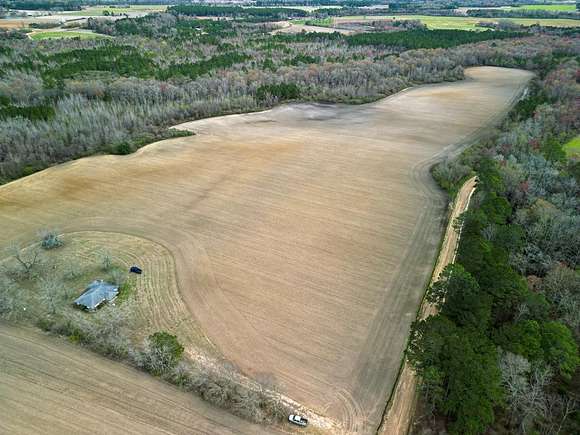 173 Acres of Land for Sale in Baxley, Georgia