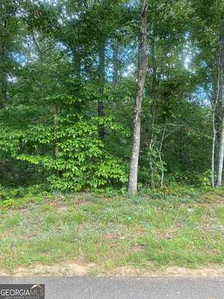 1 Acre of Land for Sale in Flowery Branch, Georgia