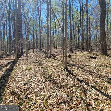 5.1 Acres of Land for Sale in Fairfax Station, Virginia