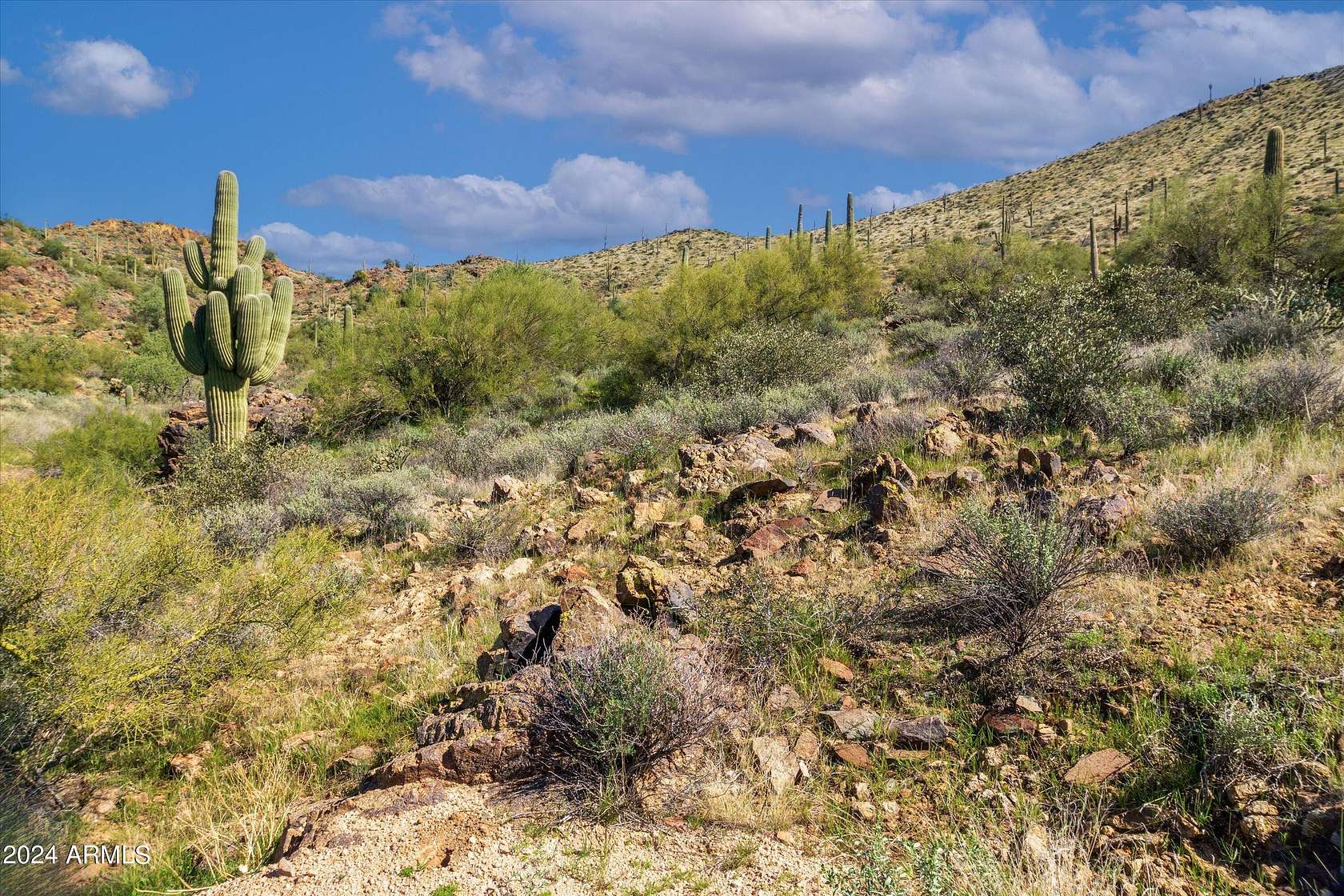 4 Acres of Residential Land for Sale in Cave Creek, Arizona