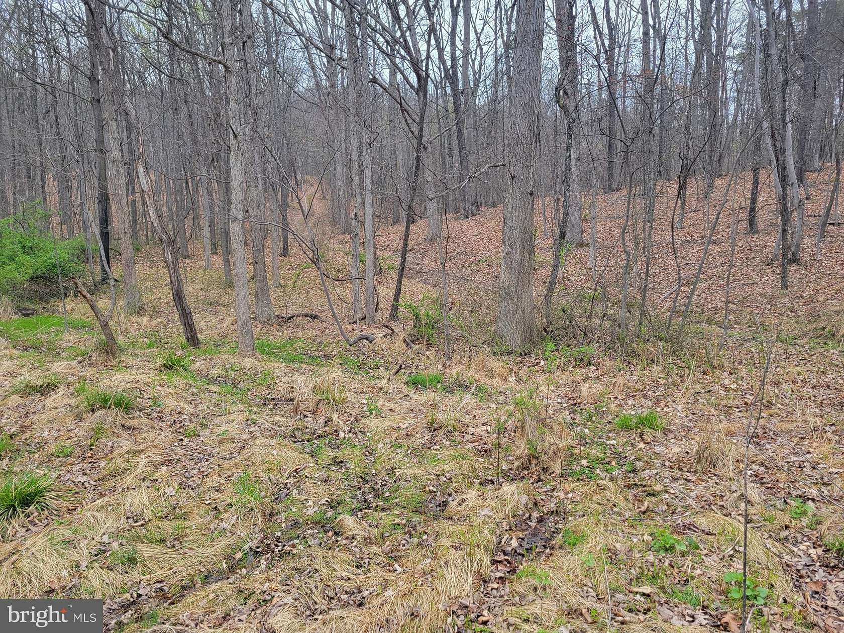 3 Acres of Residential Land for Sale in Paw Paw, West Virginia
