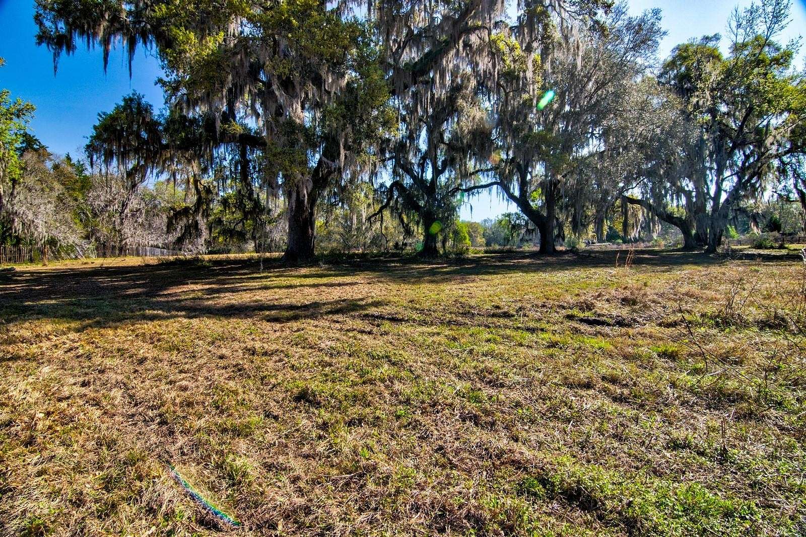 Residential Land for Sale in Micanopy, Florida